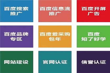 百度竞价排名实战：某电商平台的成功之路